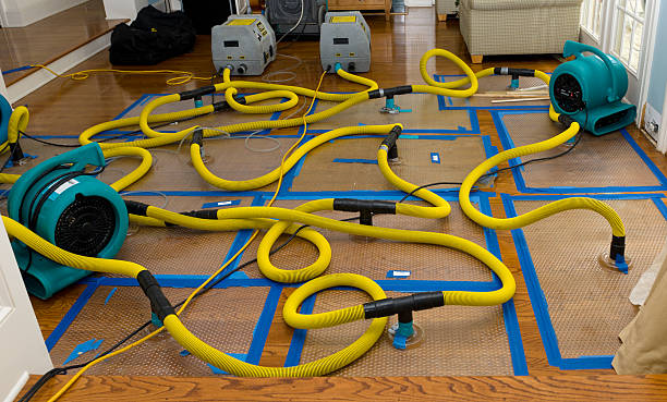 Professional Water Extraction technician working in Highland Park, NJ